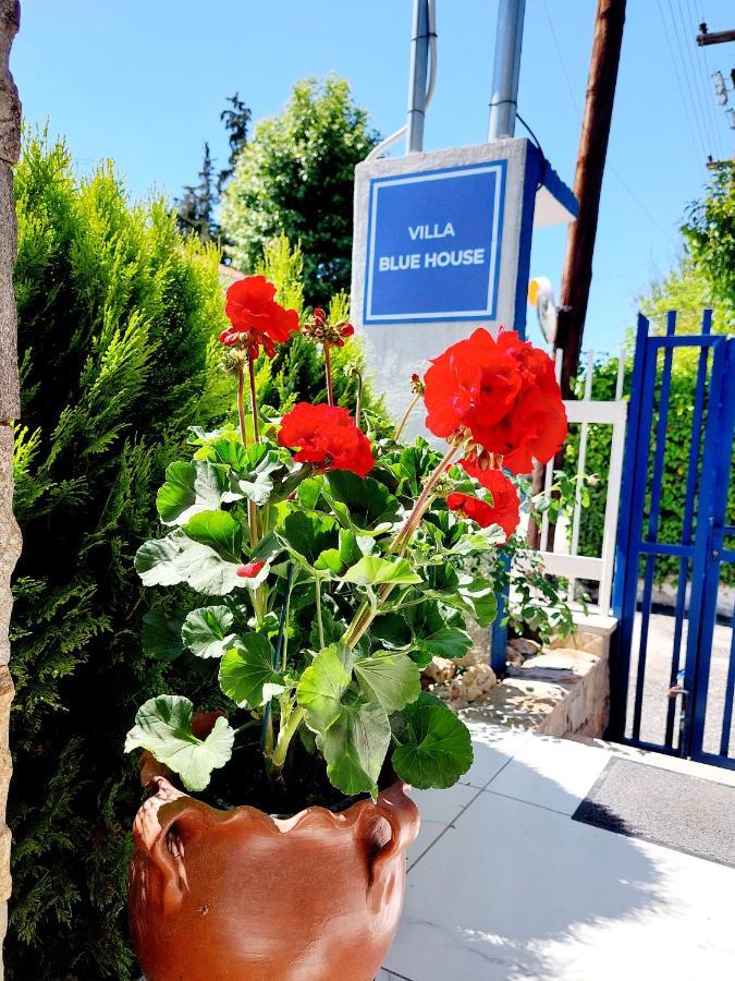 Villa Blue House Nea Kallikrateia Esterno foto